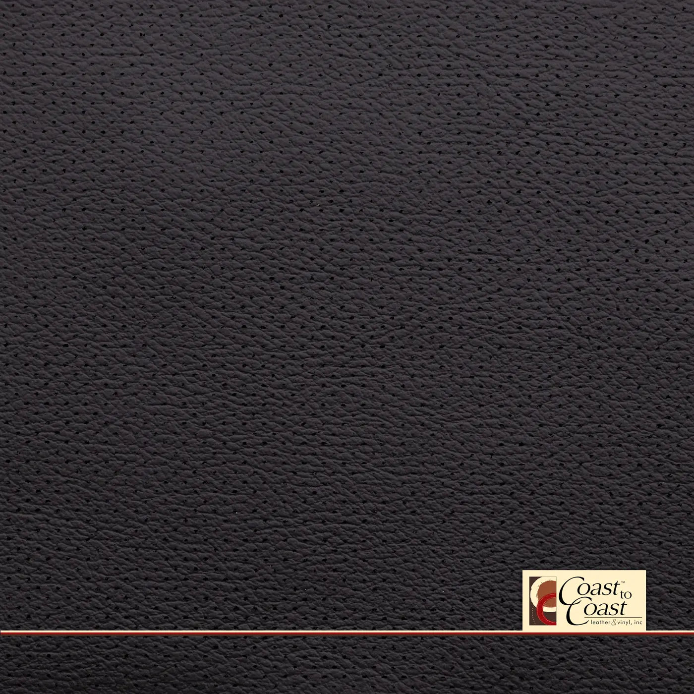 Ford Ebony Full Hide / Gm Mirco Perf (1/16In) Leather